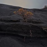 dunkle, basische Lava auf La Palma