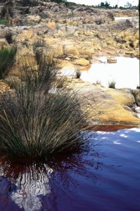 rotes, eisenhaltiges Wasser am Rio tinto in Spanien