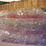 Devonisches Stromatoporen-Riff