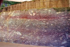 Devonisches Stromatoporen-Riff
