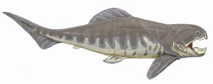 Dunkleosteus, ein rieseger Panzerfisch aus dem Devon. (Bild: Wikimedia User Dmitry Bogdanov) 