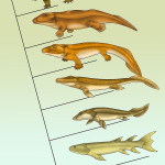 Evolution der Ichthyopoden