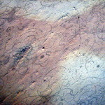 Grypania spiralis, mehrzellige Alge, 2200 mill. Jahre alt, Negaunee Iron- Formation, Palmer, Michigan (USA)