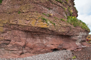 Old Red-Sandstein, Auchmithie, Schottland