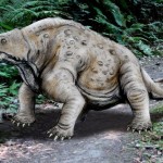 Pareiasaurus serridens