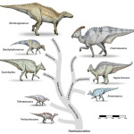 Hadrosaurier
