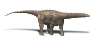 Hypselosaurus priscus, obere Kreide