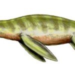 Liopleurodon ferox aus dem späten Jura von Europa