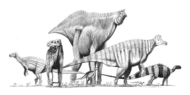 Ornithopods, Zeichnung von John Conway (Bild: Wikimedia User John Conway ) 