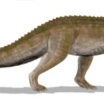 Ornithosuchus longidens, ein Archosaurier der späten Trias, Schottland