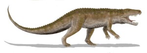 Ornithosuchus longidens, ein Archosaurier der späten Trias, Schottland