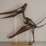 Pteranodon Triebold