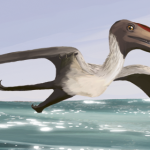 Pterodactylus spec. (Bild: Wikimedia User Matthew P. Martyniuk)