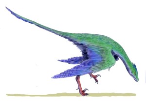 Rahonavis ostromi, ein Dromaeosaurier aus der späten Kreide