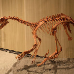 Velociraptor mount