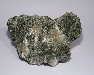 Anthophyllit, Vermiculit