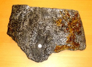 Fruchtschiefer aus Theuma, Vogtland